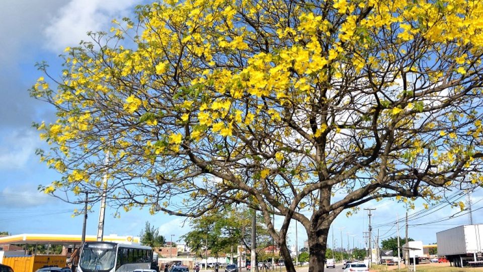 IPES_FOTOS_KLEIDE_TEIXEIRA__04-scaled-1.jpg