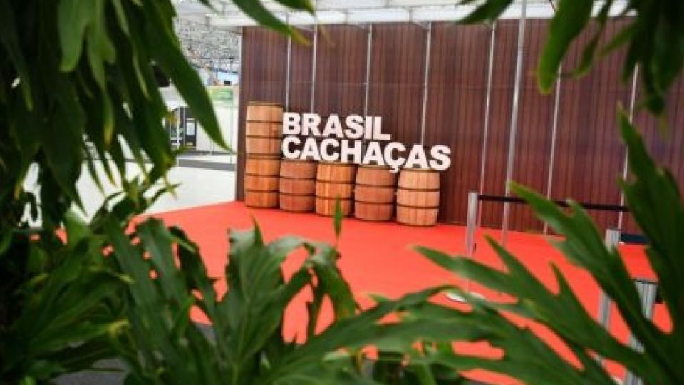 bcachacas-e1697543245107-21ave1a0d1461j5myvy83gsqv9l10rbfinp1blcpzkqs.jpg